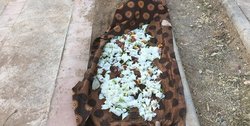 بدشانسی زن کوهنورد حین امداد هوایی + فیلم