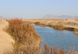 خانواده‌های یزدی در مصرف آب صرفه جویی کنند/ بارش ها‌ی بهاری کم آبی را جبران نمی‌کند