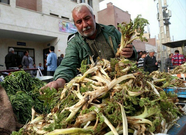 سفره های رنگین با گیاهان خوراکی / استان ایلام