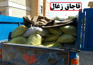 کشف  ۱۳ گونی زغال در کله نی  شهرستان چگنی