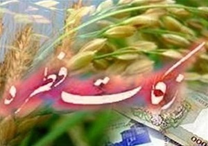 جمع آوری زکات فطره در ۹۸۶ پایگاه در استان قزوین