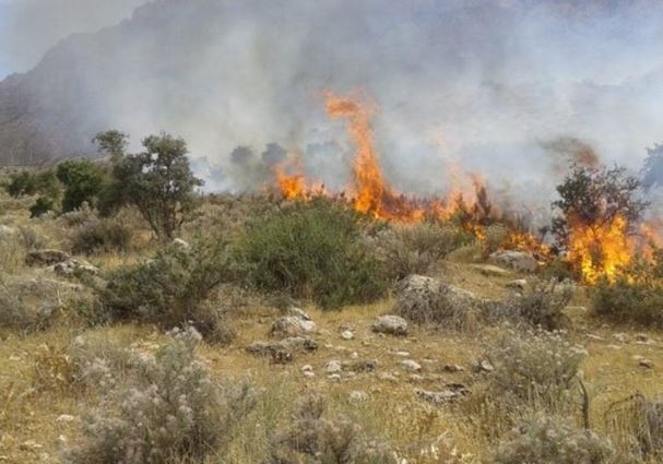 خشک شدن مراتع و افزایش آتش سوزی مراتع در دلیجان