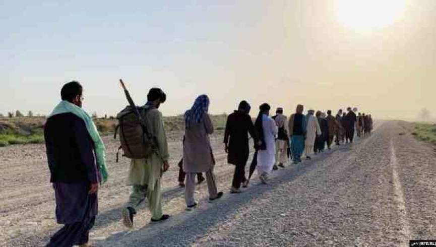 طالبان حدود 20 عضو حرکت مردمی صلح را با خود بردند