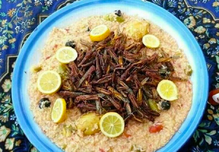 همه غذاهایی که با ملخ پخته می&zwnj;شوند!