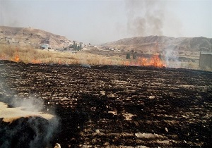 آتش از زمین‌های کشاورزی ایذه دست کشید