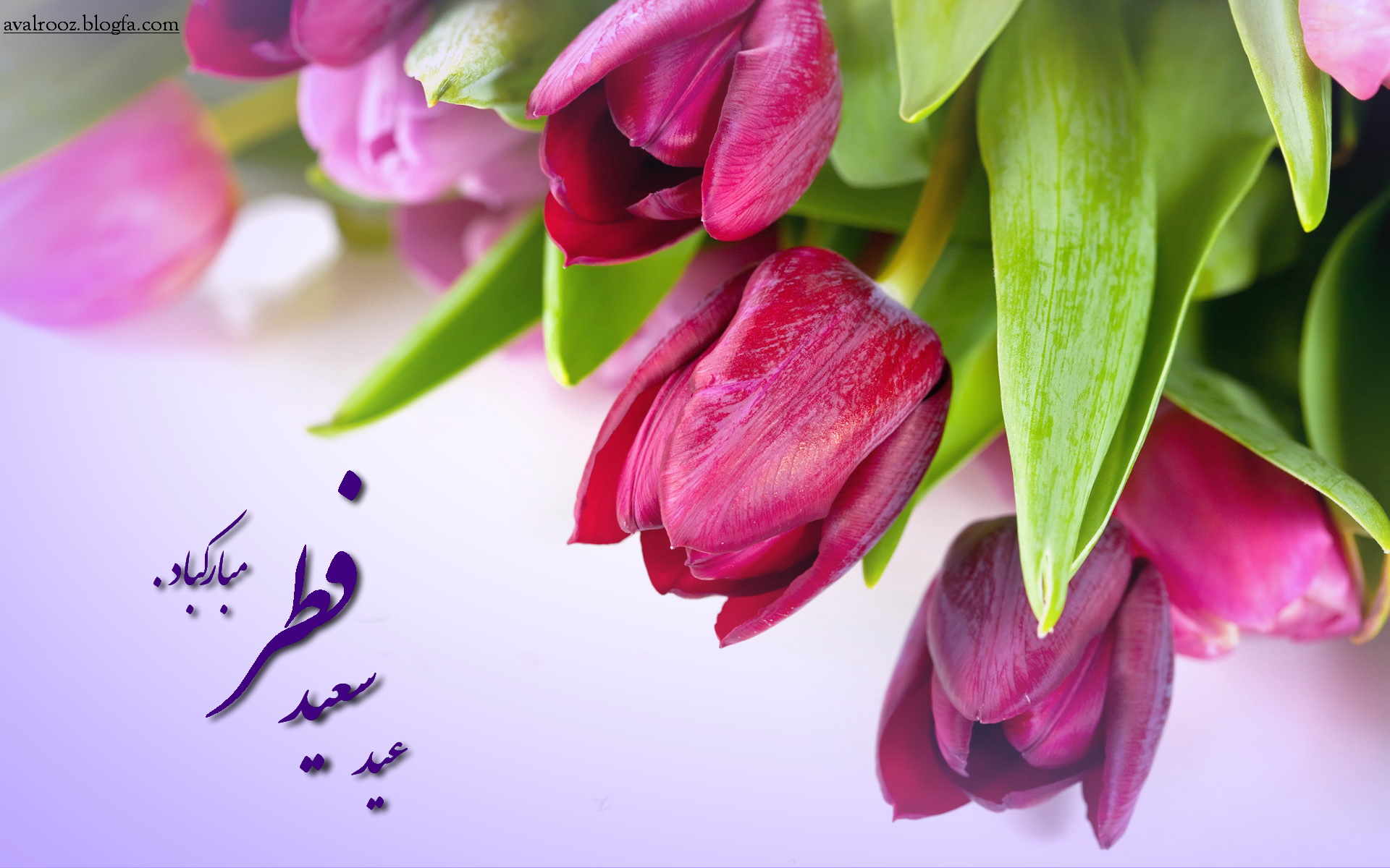 مجموعه والپیپرهای زیبا ویژه عید سعید فطر