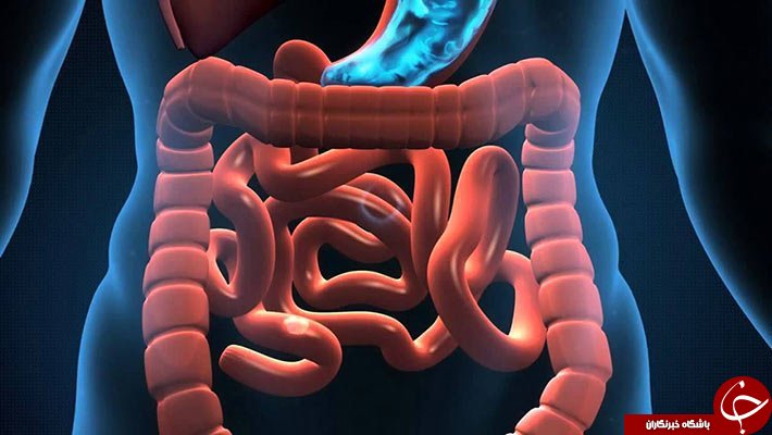 چه زمانی برای تخلیه روده&zwnj;ها مناسب است؟ +بررسی بوی بد مدفوع و دفع مدفوع زیاد