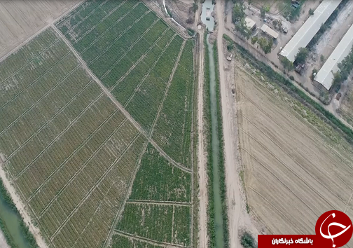 شهر در تسخیر مراکز تجاری/جاده چالوس یکطرفه می شود/قطب کشاورزی کشور رو به سوی استقلال