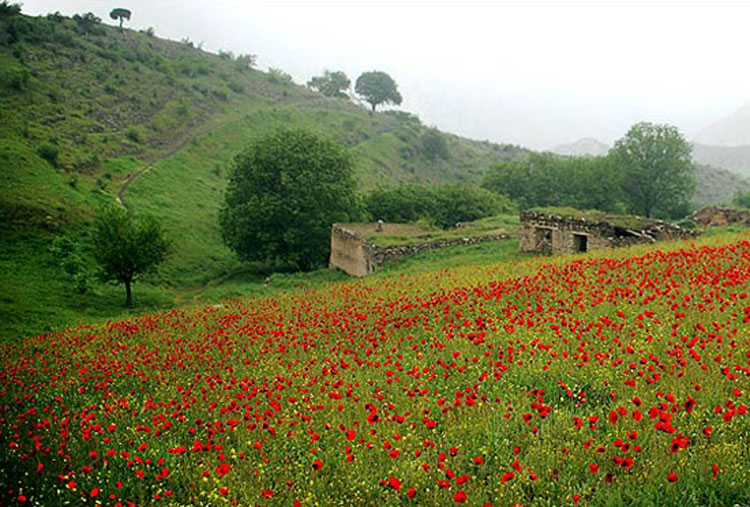 جنگلهای ارسباران، منطقهای گردشگری و زیبابرای گردشگران جنگلهای ارسباران، منطقهای گردشگری و زیبابرای گردشگران