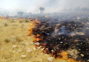 آتش سوزی در سه هکتار از مراتع روستای دهنو