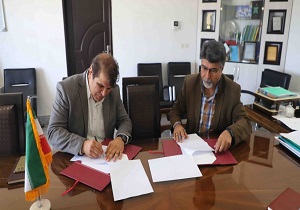 دعوت از کدخدا والیبالیست خراسان جنوبی به اردوی تیم ملی بانوان