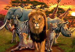 پیاده روی عجیب و واقعی ماهی‌ها در وسط خیابان! + فیلم