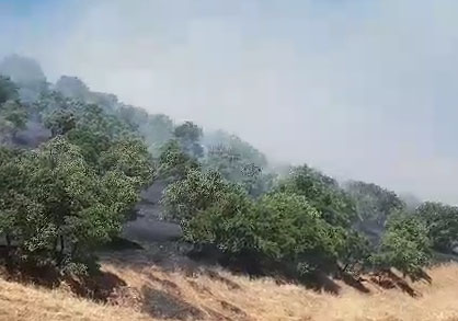 آتش‌سوزی مراتع در روستای کوری + فیلم