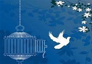 ۲۸ زندانی جرائم غیرعمد در فارس از بند رهایی یافتند/کمک بیش از ۴ میلیارد تومانی خیران