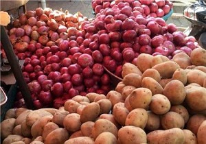 برداشت سیب زمینی و پیاز در شوشتر پایان یافت