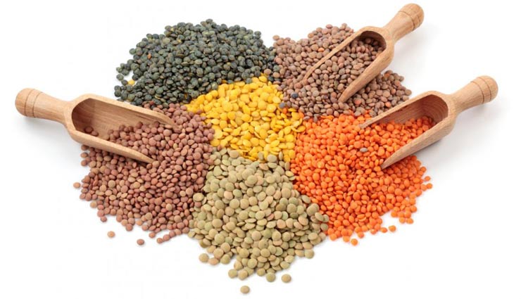 قیمت عدس بسته بندی در بازار