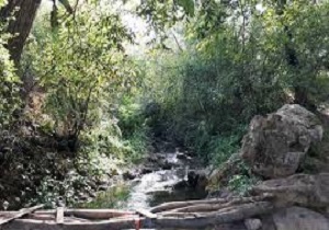نسمه پذیرای ۵ هزار گردشگر