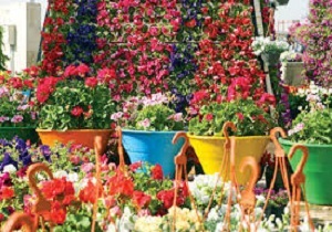 نمایشگاه‌های گل و گیاه و صنایع دستی در قزوین برپا می‌شود