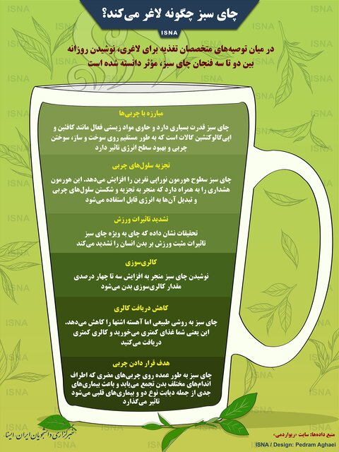 چای سبز چگونه لاغر می&zwnj;کند؟ + اینفوگرافی