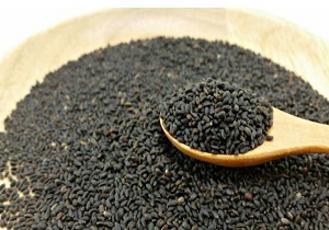 کشف محموله میلیاردی تخم شربتی قاچاق در اصفهان/ ویزیتور اینترنتی کلاهبردار از آب در آمد