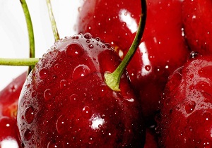 برگزاری جشن گیلاس در صحنه