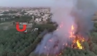 آتشسوزی گسترده در نخلستانهای جومه الجندل در عربستان آتشسوزی گسترده در نخلستانهای جومه الجندل در عربستان