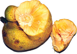 ۳ میوه آسیایی که نمی&zwnj;شناسید