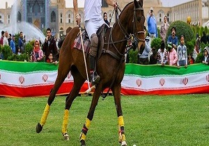 نوزایی رئیس فدراسیون چوگان شد