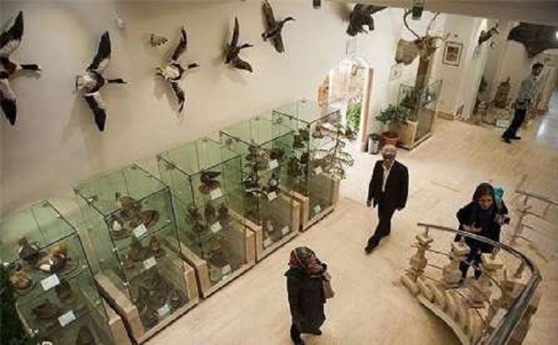 بلاتکلیف ماندن موزه تاریخ طبیعی استان