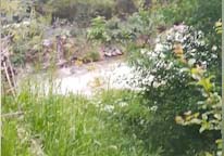 نمایی از طبیعت زیبای روستای دیزاین + فیلم