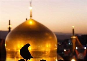 ۱۳۹۸ مددجو به مشهد مقدس اعزام شدند