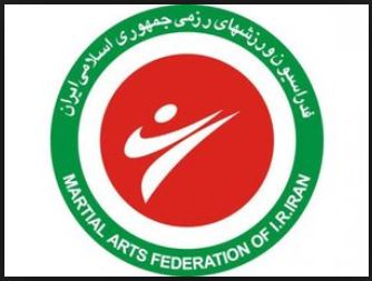 مدیر کل محیط زیستی که رییس هیات رزمی شد