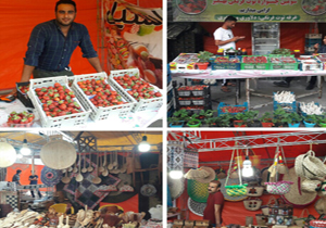 بهنمیر، میزبان سومین جشنواره ملی توت فرنگی