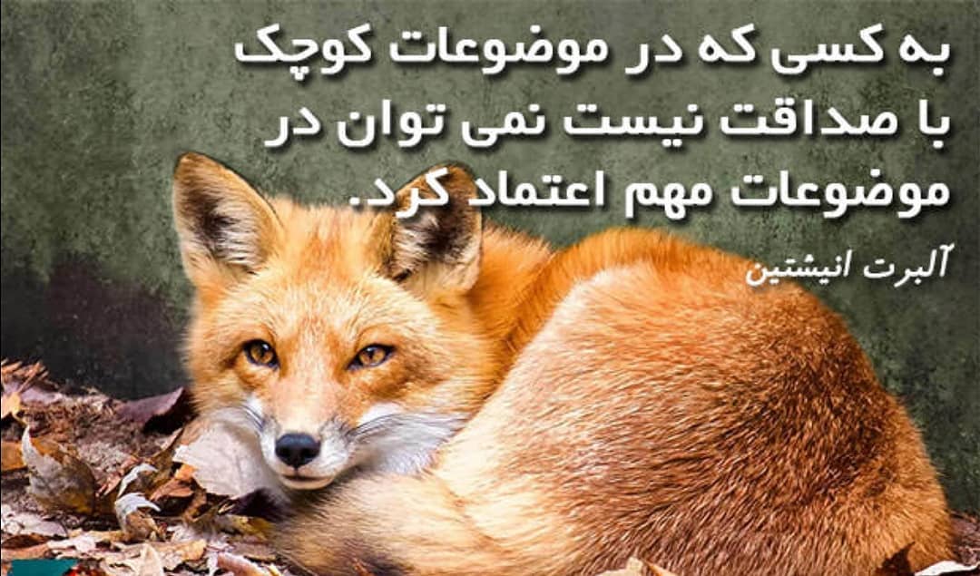 آتش قبر چه کسانی تا قیامت شعله ور است؟ آتش قبر چه کسانی تا قیامت شعله ور است؟