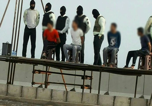 ماجرای تلخ شکلات داغ/رهایی پلنگ ایرانی از چنگال انقراض/