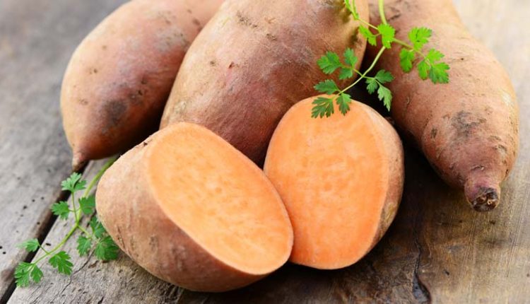 مواد و دسته رژیم غذایی مناسب برای بیماران دیابتی