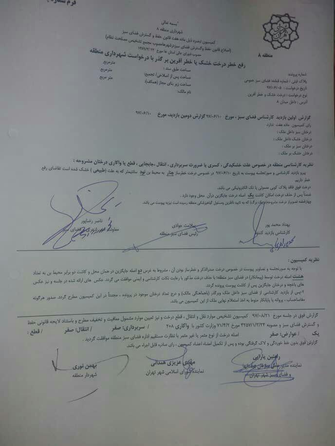 پشت پرده قطع درختان میدان 8 نارمک