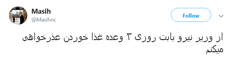 از وزیر نیرو بابت روزی ۳ وعده غذا خوردن عذرخواهی میکنم