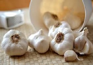 برگزاری دومین جشنواره سیر در تیمورلو