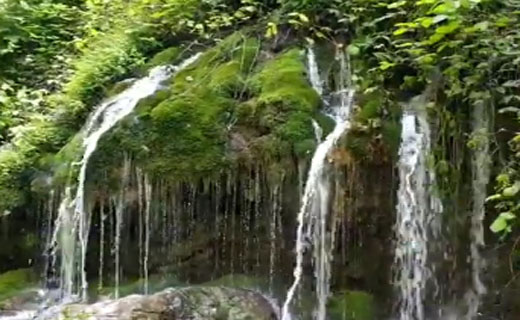 جلوه ویژه آبشار زیبای شفیع‌آباد در قاب دوربین + فیلم