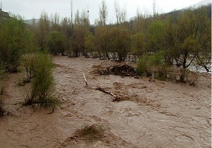 تخصیص اعتبار جبران خسارت سیل به کشاورزان