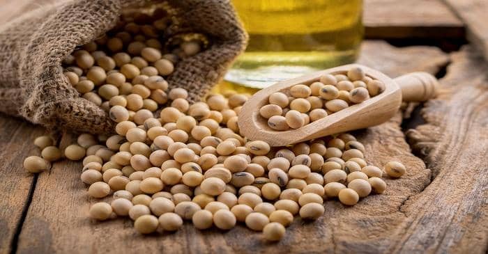 ۶ ماده غذایی ضروری و مفید برای سلامتی بانوان