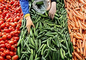 تولید بیش از ۲۰۰ تن گوجه فرنگی و خیار در استان همدان