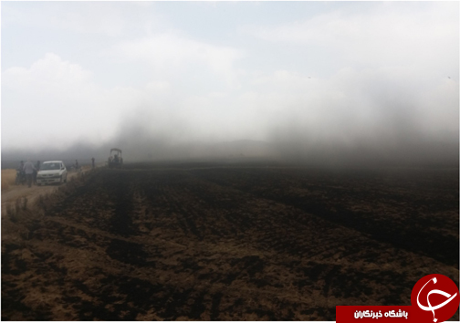 آتش سوزی بیش از ۳۰ هکتار از مزارع شیراز