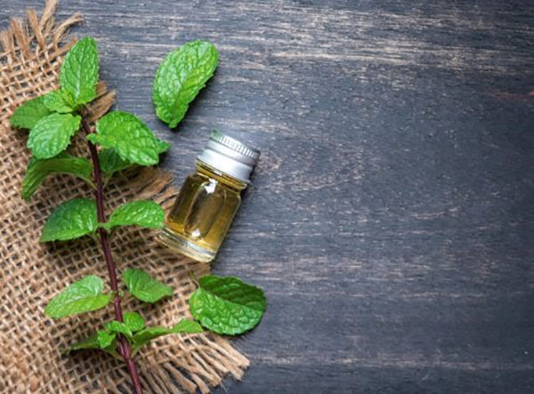 روغن نعناع برای سلامتی چه فوایدی دارد؟