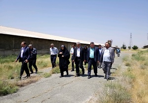 سالانه ۸۵۰ هزار تن گوشت قزمز در کشور تولید می‌شود