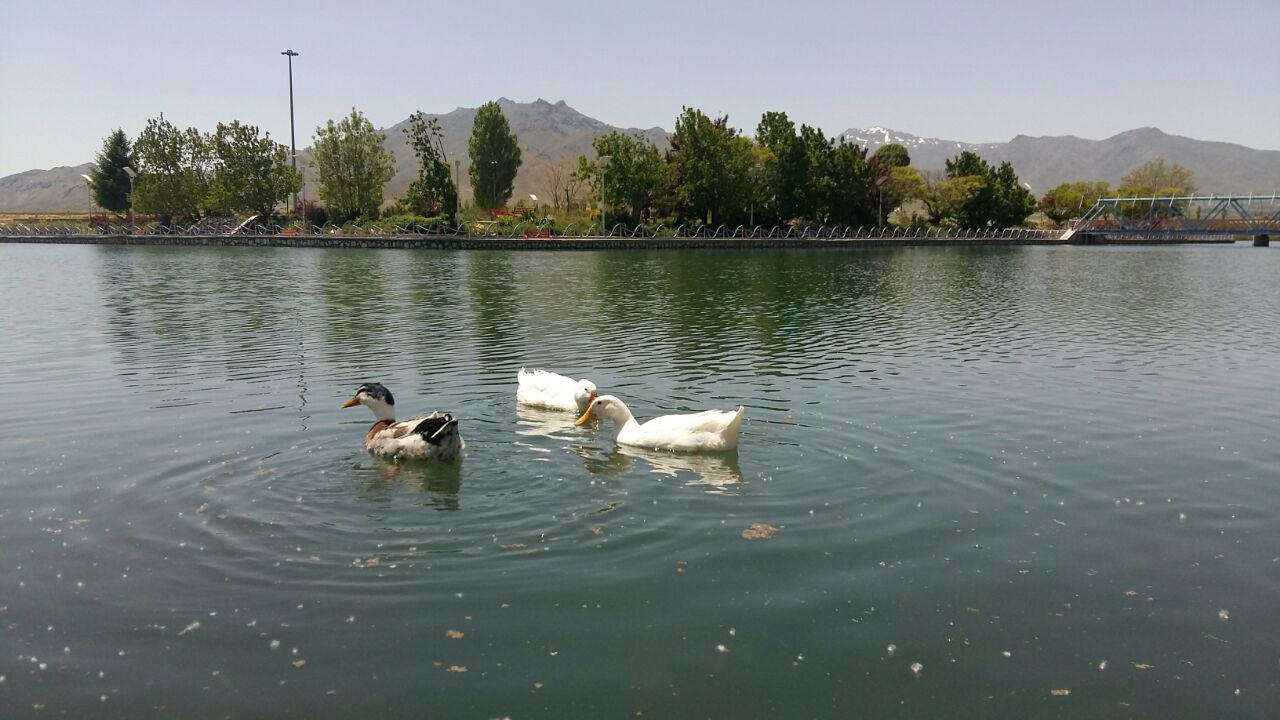 انبار علوفه &laquo;حبیب ایشان&raquo;طعمه حریق شد/ چشم&zwnj;اندازی از طبیعت زیبای دریاچه سراب کوثر/برخورد تریلی با پل هوایی در اتوبان آوینی + فیلم و تصاویر