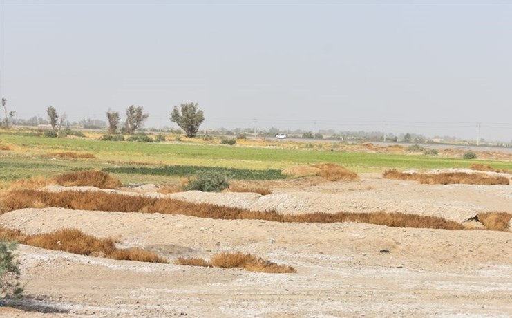 خسارت بیش از ۵۴۰ میلیارد تومانی سرمازدگی و سیل امسال در استان سمنان