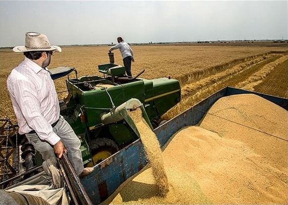 جلوگیری ازاخلال درخرید گندم با حذف واسطه&zwnj;ها ودلالان