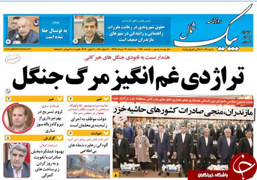آغاز شتابان / تراژدی غم انگیز مرگ جنگل